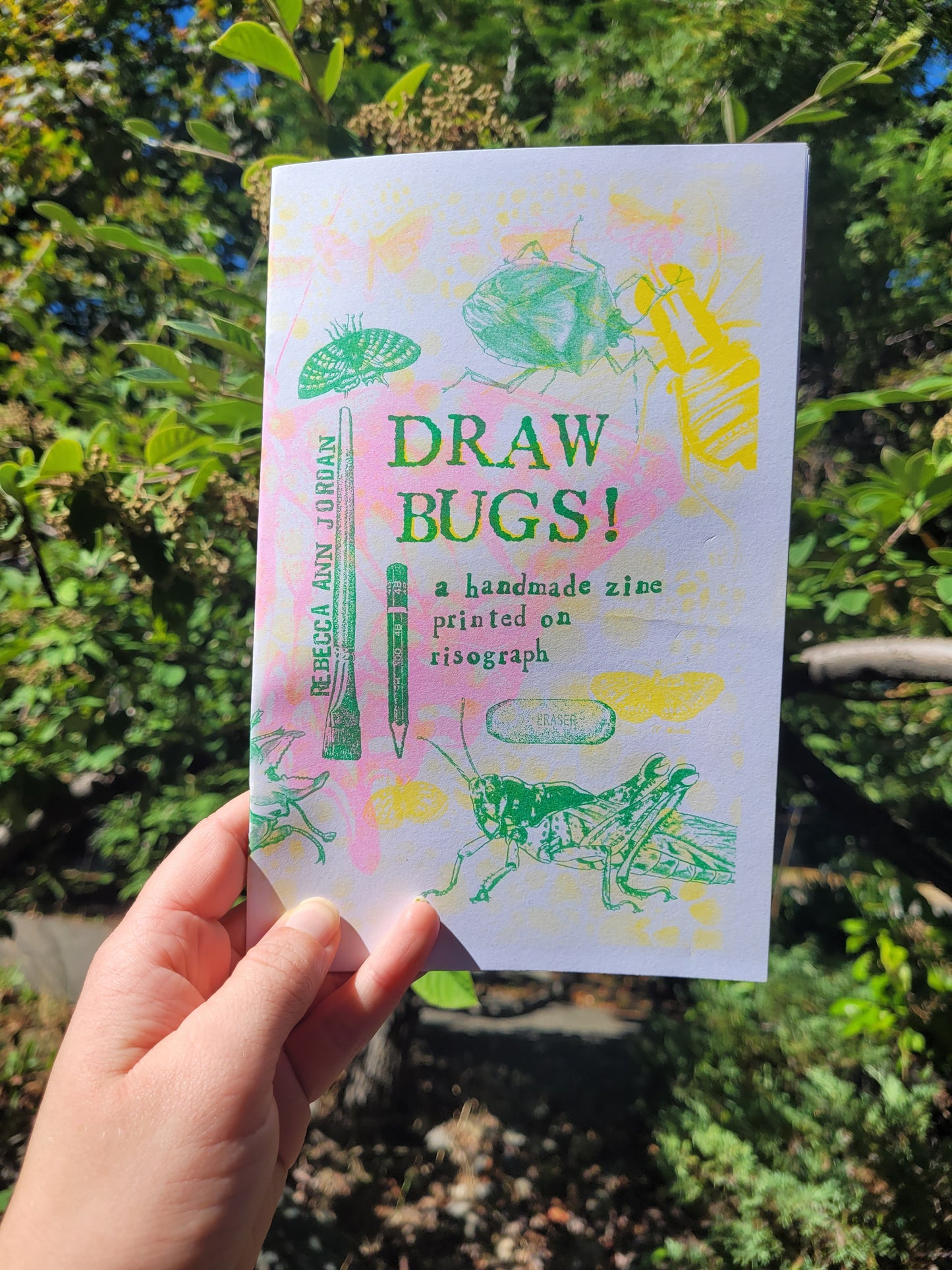 Draw Bugs!