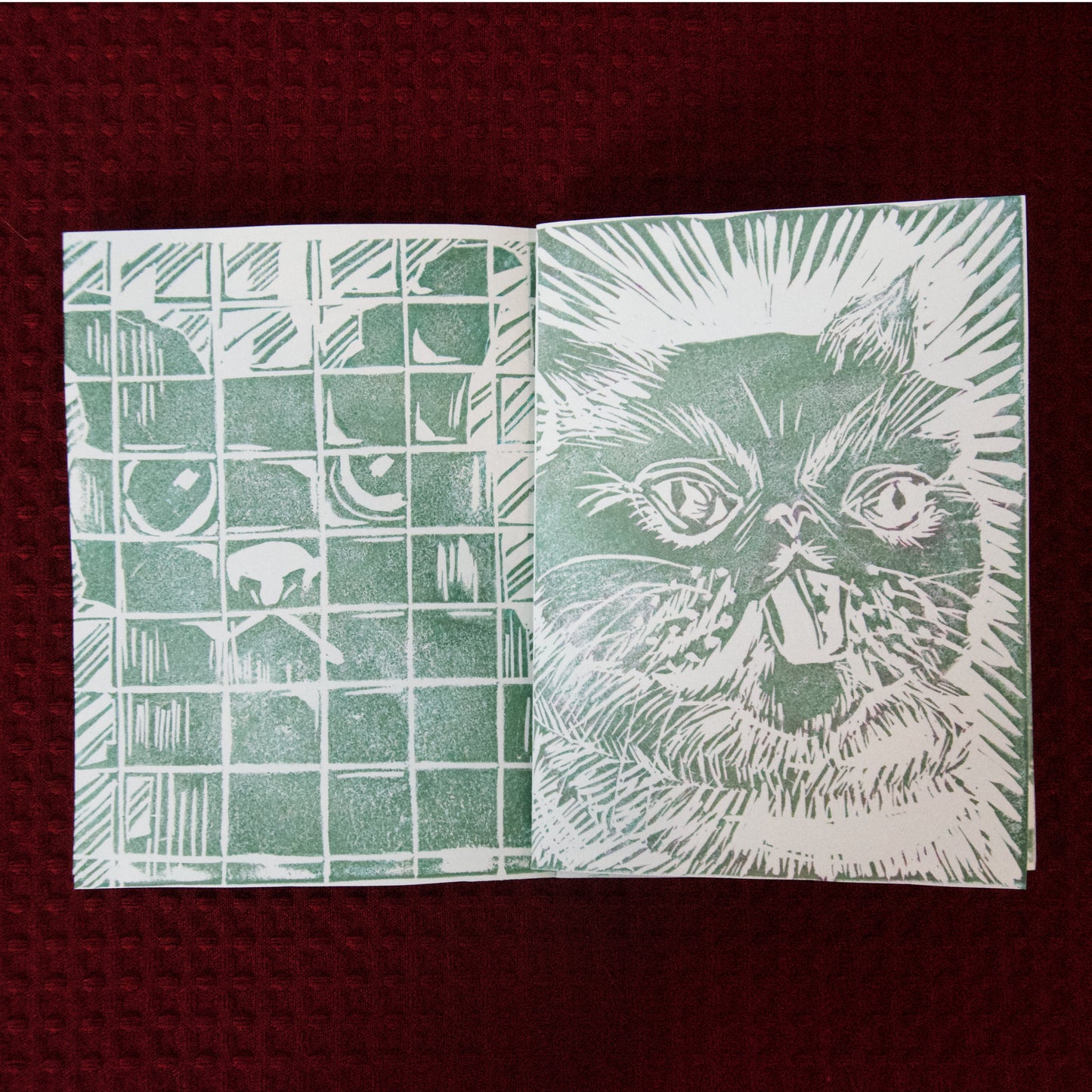 PREORDER Weird Cats I've Seen on the Internet
