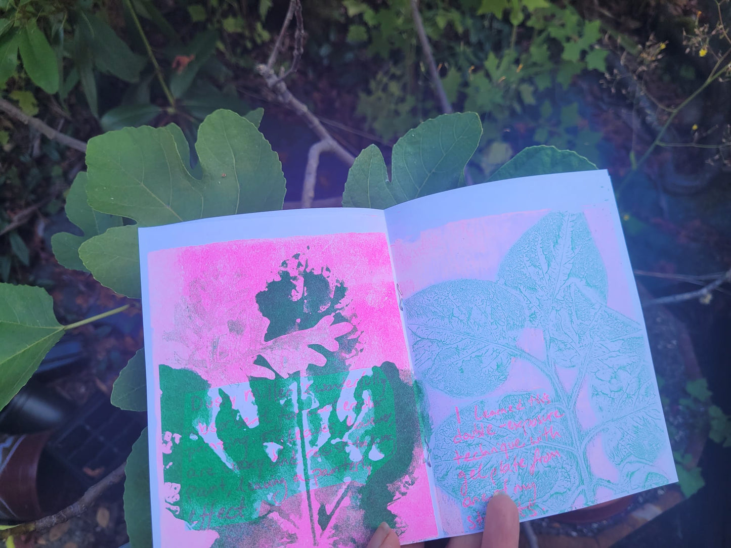 Forever Blooms Zine