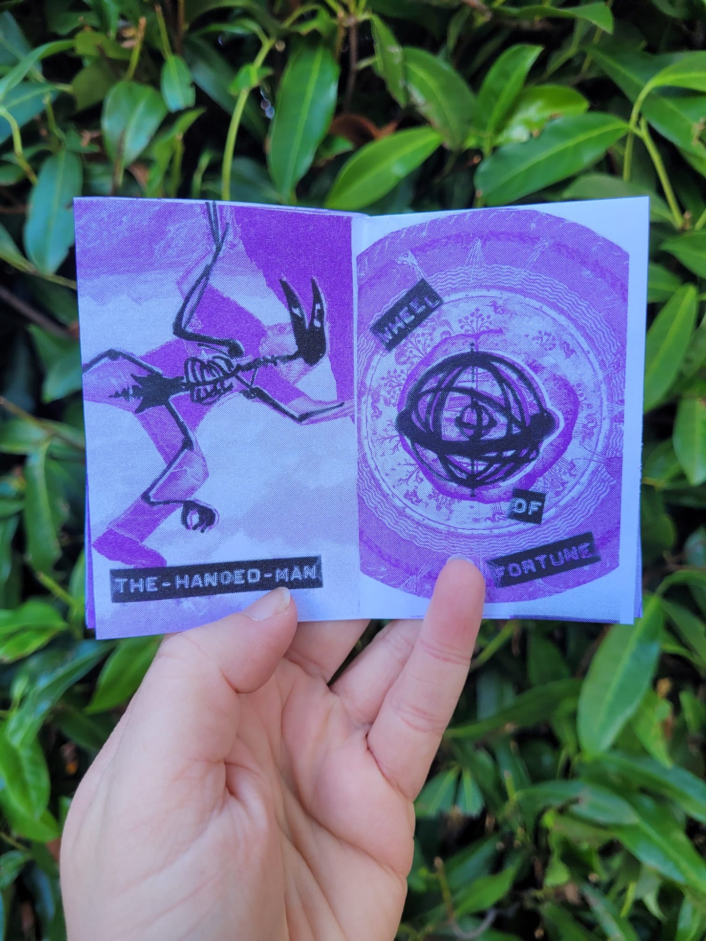 Stories Everywhere Zine