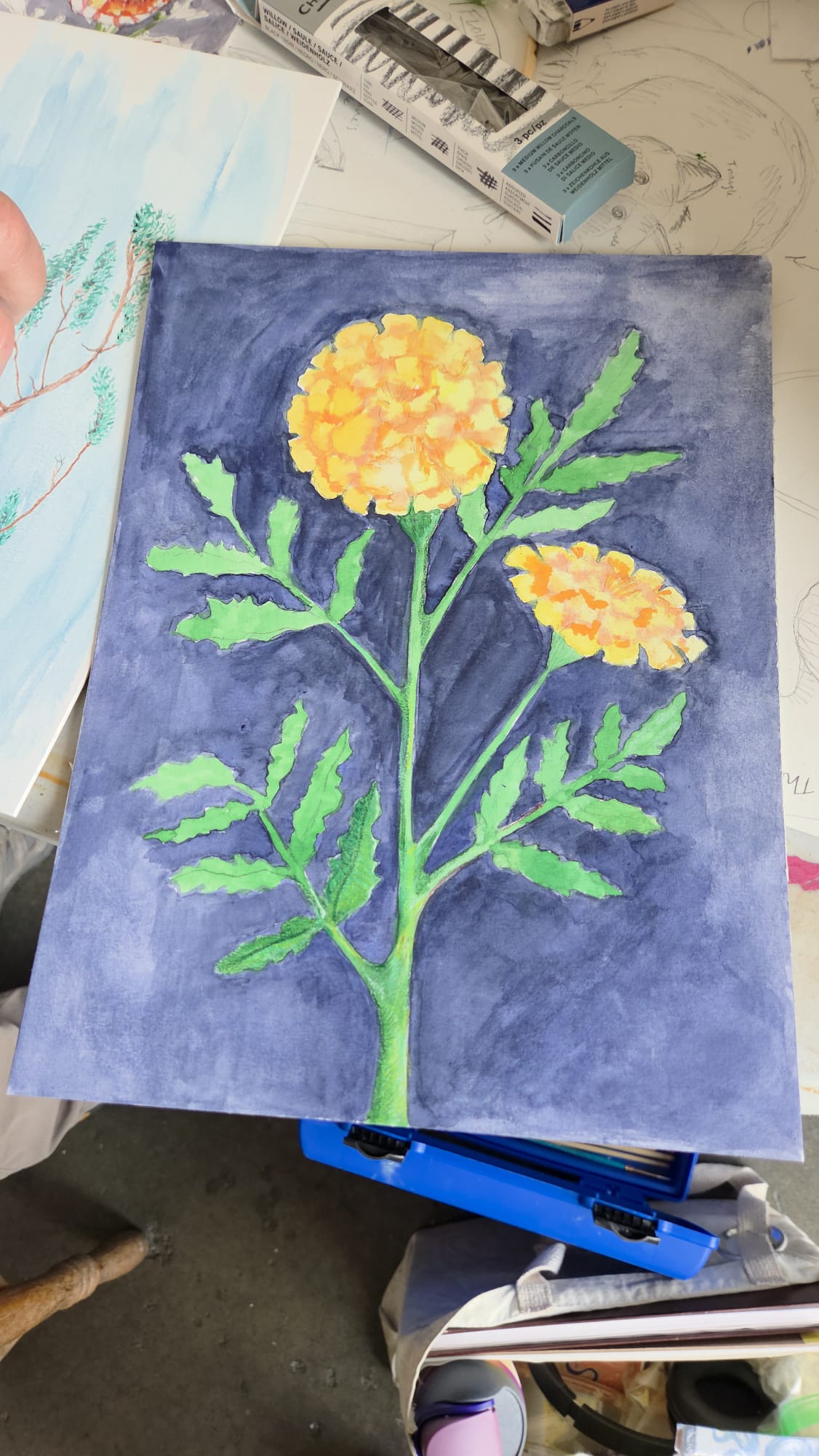 10/11 Nature Illustration