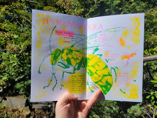Draw Bugs!