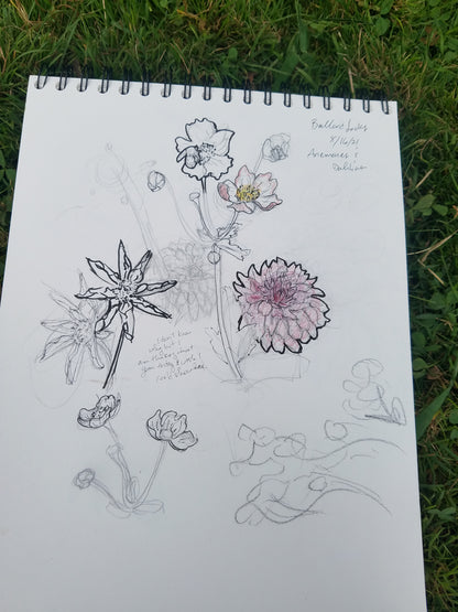 Seattle Nature Journaling Club 2026