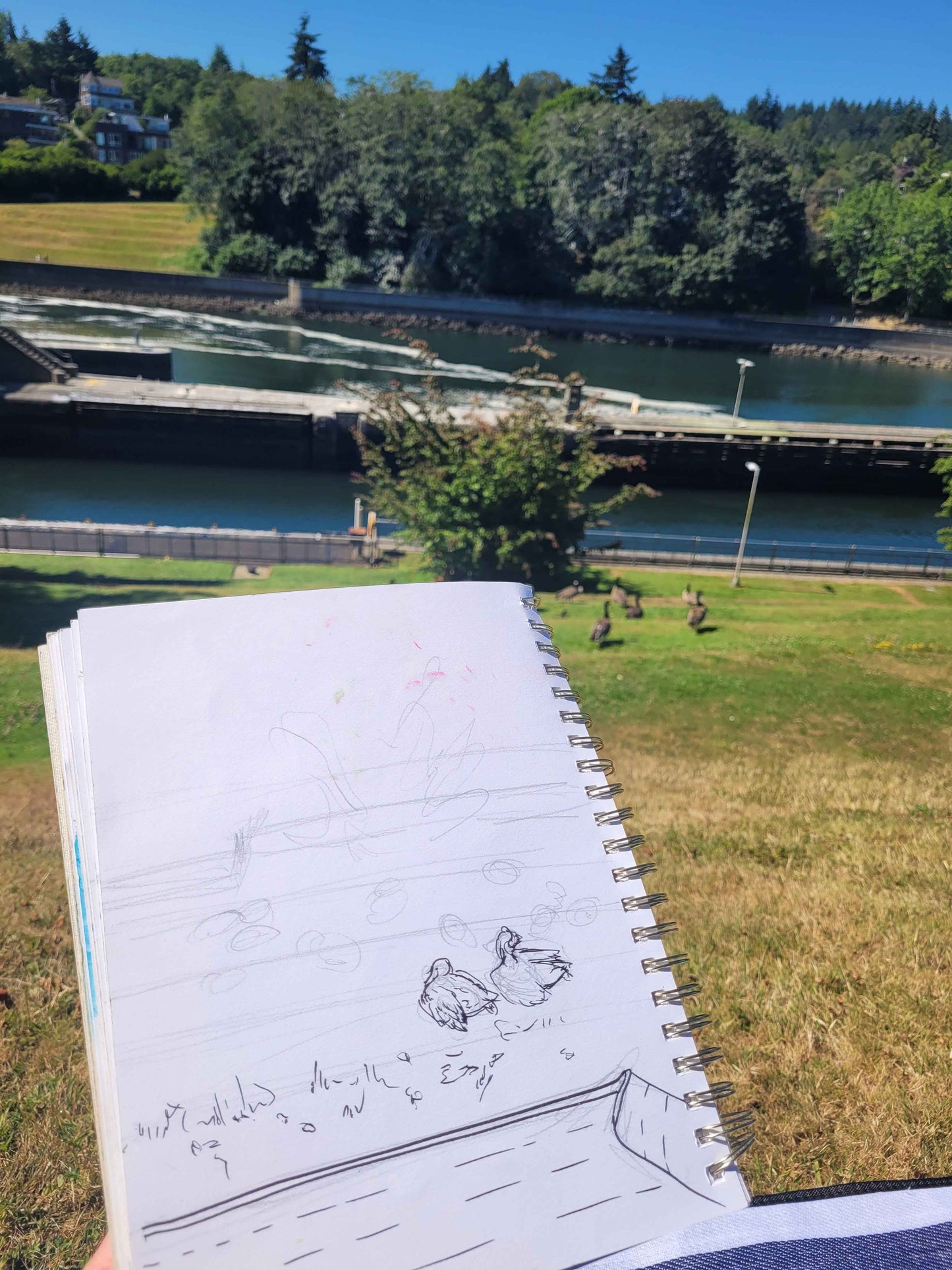 Seattle Nature Journaling Club 2026