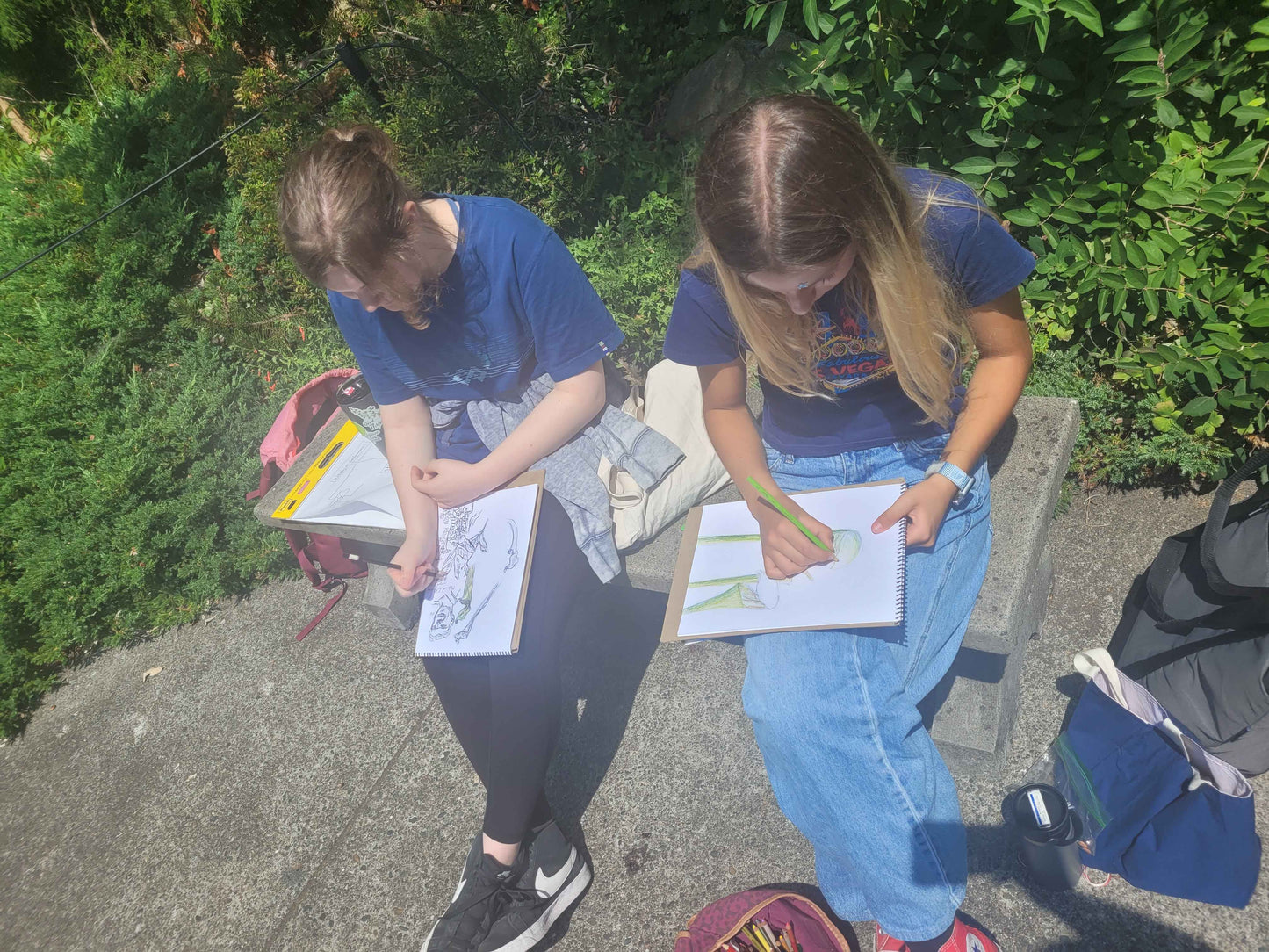 Seattle Nature Journaling Club 2026