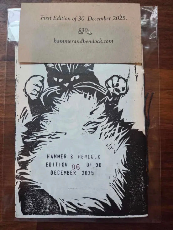 Weird Cats I've Seen on the Internet