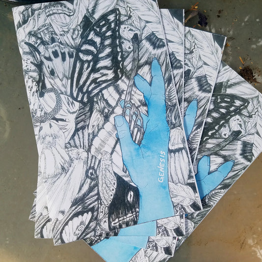 Genesis