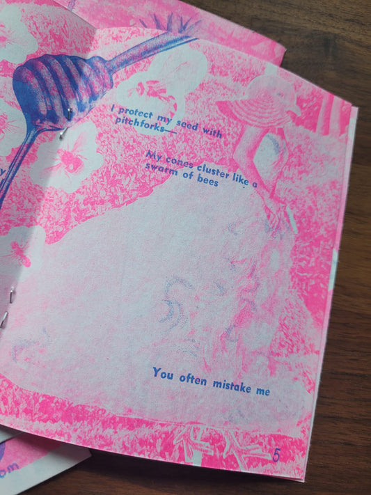 Marvellous Things Zine