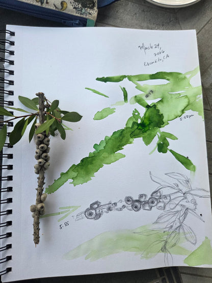 Seattle Nature Journaling Club 2026
