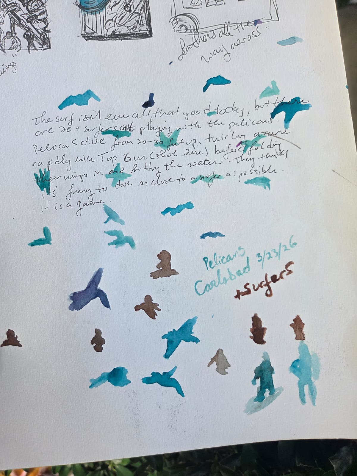 Seattle Nature Journaling Club 2026
