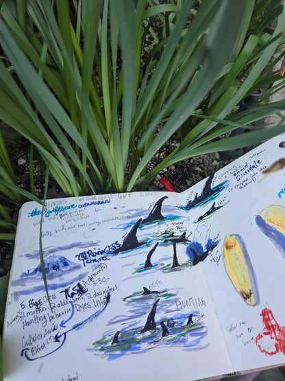 Seattle Nature Journaling Club 2026