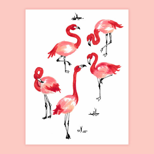 Flamingo Lingo