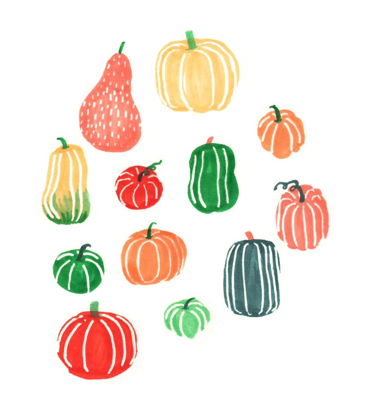 Pumpkin Studies