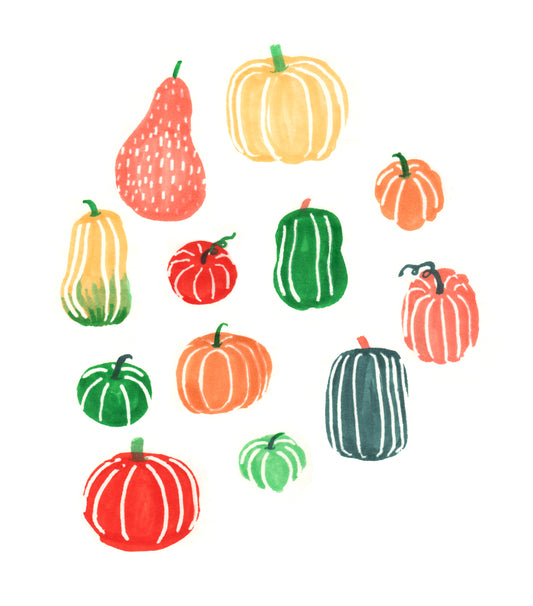 Pumpkin Studies